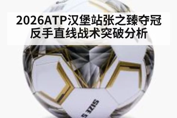 2026ATP汉堡站张之臻夺冠反手直线战术突破分析