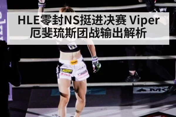HLE零封NS挺进决赛 Viper厄斐琉斯团战输出解析