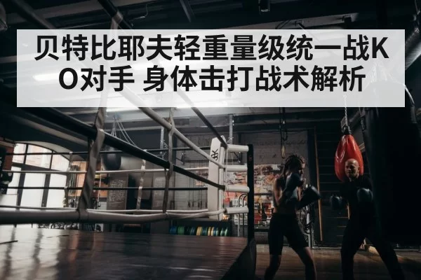 boxer training